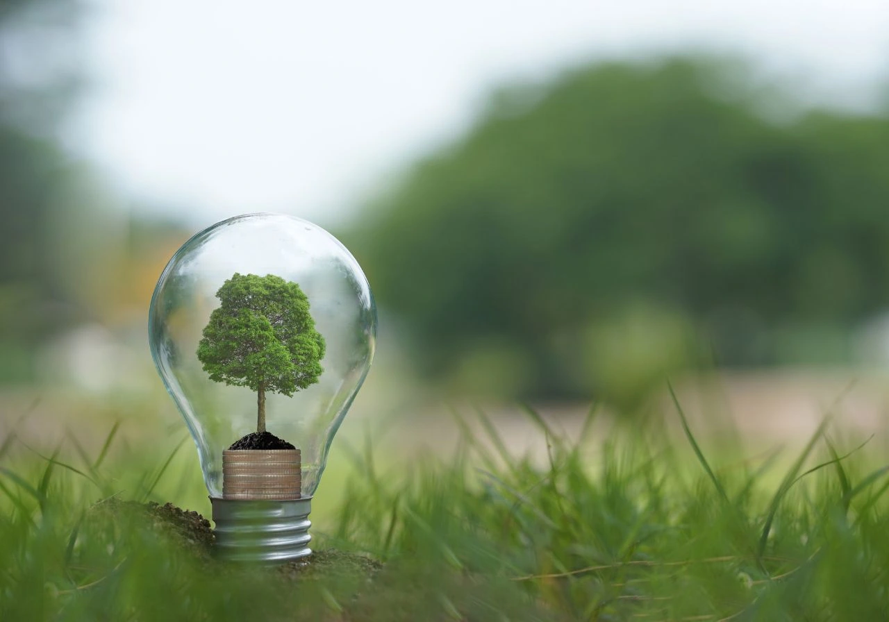 jak-chronic-srodowisko-podczas-czyszczenia-elewacji